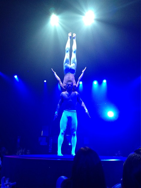 From the Vegas show "Absinth"