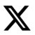 X Icon-80